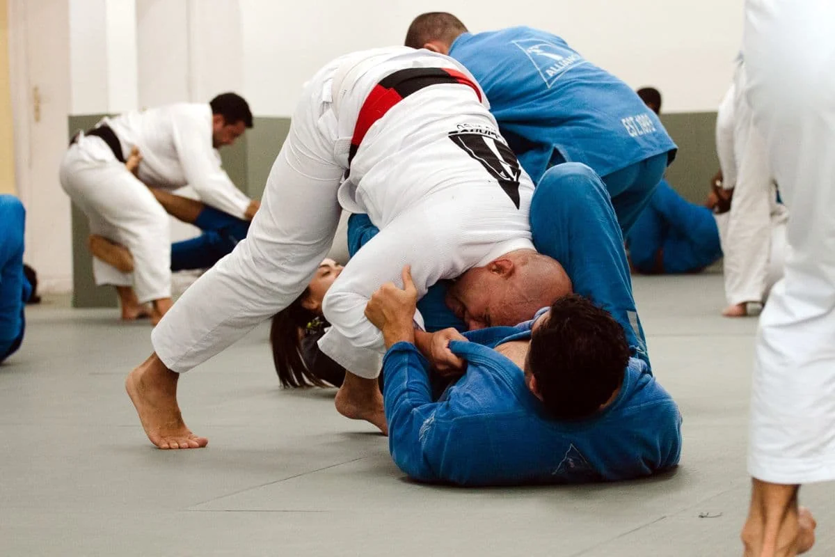Treino de JIU JITSU para adultos em academia Alliance